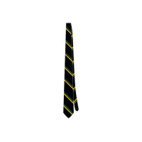 Senior Secondary Tie (Yr 11-12)